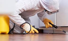 Best Pest Control for Multi-Family Homes  in Avondale, AZ